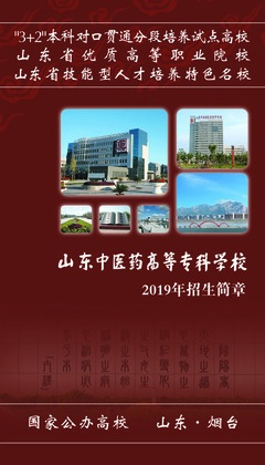 2019年普通專科招生簡(jiǎn)章與職業(yè)中介活動(dòng)解析