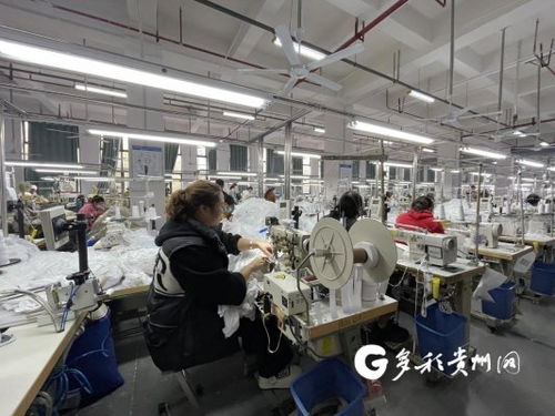 工廠建在家門口 產業就業雙豐收，職業中介活動助力發展